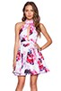 view 1 of 4 Raspberry Blossom Skater Dress in Floral