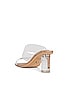 view 3 of 5 Sabelle Sandal in Clear Vynalite & Skin Capretto