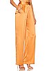 view 2 of 4 Wide Leg Trouser in Apricot