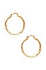 view 3 of 3 Twisted Segnata Hoops in Gold