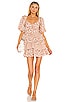 view 1 of 3 Shaylee Dress in Dried Rose Floral