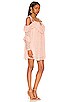 view 2 of 3 Solange Lace Mini Dress in Blush
