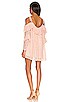 view 3 of 3 Solange Lace Mini Dress in Blush
