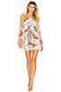 view 1 of 4 Cali Dress in Teacup Floral
