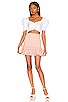 view 4 of 4 Solange Lace Skirt in Blush