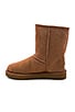view 5 of 5 Classic Short II Shearling Boot in Chestnut