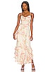 view 1 of 3 Carmela Dress in Flirty Floral Ivory