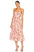 Rosa Laced Picnic Dress, view 1, click to view large image.