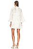 view 3 of 3 Tiggy Lace Mini Dress in Ivory