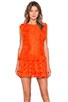 view 1 of 4 Marisol Eyelet Dress in Tomato