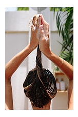 The Nourishing Shampoo - thumbnail 7