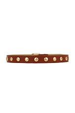 Studded Belt - thumbnail 9