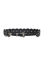 Western Disc Belt