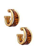 Hoop Earring