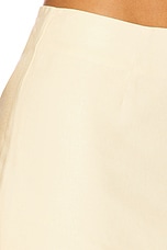 Jennie Mini Skirt - thumbnail 9