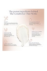 The Conditioner - thumbnail 6