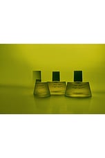 Cobalt Amber Eau De Parfum - thumbnail 7