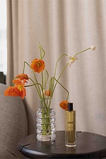 Scene 03 Room Spray - thumbnail 7