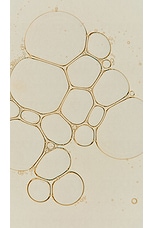 Immaculate Facial Tonic - thumbnail 5