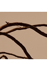 Solais Replenishing Hand Serum - thumbnail 7