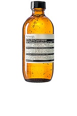 Aesop In Two Minds Facial Cleanser