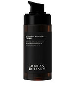Intensive Recovery Cream - thumbnail 4