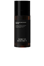 Intensive Recovery Cream - thumbnail 5
