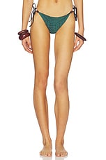 Tammy Especial Bikini Bottom - thumbnail 4