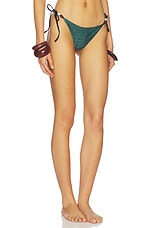 Tammy Especial Bikini Bottom - thumbnail 5