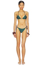 Tammy Especial Bikini Bottom - thumbnail 7