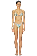 Lolita Solstice Bikini Top - thumbnail 7