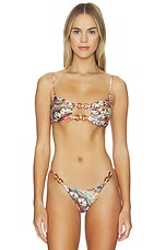 Lace Plume Bikini Top - thumbnail 4