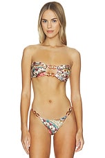 Lace Plume Bikini Top - thumbnail 5