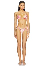 x REVOLVE Alegria Ruche Latin Bikini Bottom - thumbnail 7