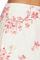 Lirica Cauca Skirt - thumbnail 9