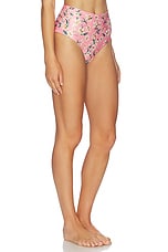Magenta Bikini Bottom - thumbnail 5