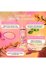 Smooth Over Frizz-fighting Treatment - thumbnail 7