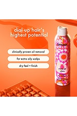 Perk Up Ultra Oil Control Dry Shampoo - thumbnail 5