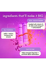 Big Hit Conditioner - thumbnail 7