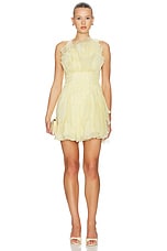 Nisha Mini Dress - thumbnail 3