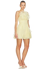 Nisha Mini Dress - thumbnail 4