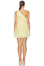 Nisha Mini Dress - thumbnail 5