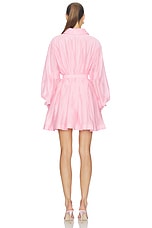 Murphie Mini Dress - thumbnail 6