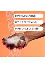 The Konjac Sponge - thumbnail 6