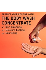 The Konjac Sponge - thumbnail 7
