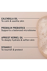 The Body Wash Concentrate - thumbnail 6