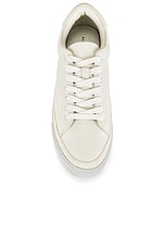 trish sneaker allsaints