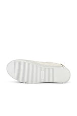 trish sneaker allsaints