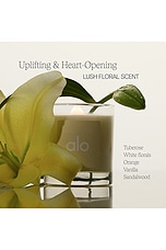 Alo Love 8oz Candle - thumbnail 6