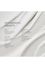 Shine Conditioner - thumbnail 5